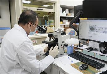 台北醫院開發「AI揪寄生蟲」   少抽一管血、檢驗省時15分！