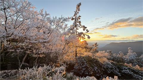 快新聞／水氣不足！宜蘭太平山未下雪　霧淞美景曝光了