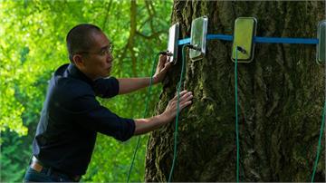 梁朝偉尬戲百年銀杏樹　《你是不會當樹嗎》好評稱霸威尼斯影展