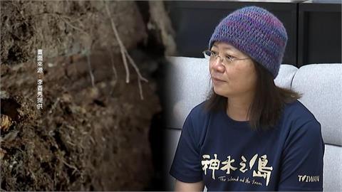 探索台灣山林之美 上映首日票房不理想 "神木之島"導演一篇文成功逆襲