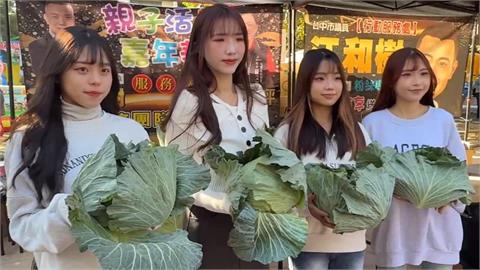 天冷！妖姬舞團包緊緊　免費發高麗菜現人龍