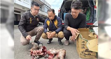 社工不股神2／揭發吃狗產業鏈！移工把山林當自助餐　他受獵頭威脅仍不怕