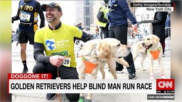紐約馬拉松第一人！ 導盲犬領跑助半馬完賽