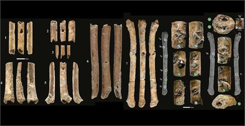 以色列出土舊石器時代晚期骨笛　歷史破萬年