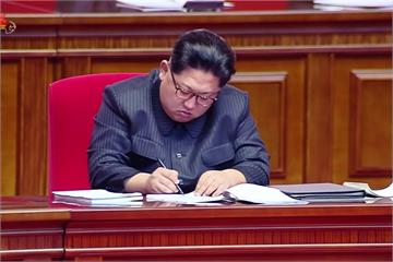 金正恩：北朝鮮必須發展多元化武器