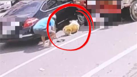 悚！　大吊車逆向直撞　老騎士機警跳車　柯基犬＂底盤夠低＂從車下鑽出無傷