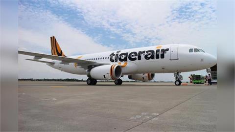 快新聞／51塊換800元？虎航宣布跟進星宇發「股東回饋金」