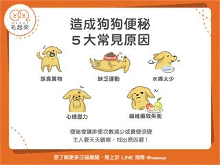 【毛疾病飲食】造成狗狗便秘～五大常見原因！