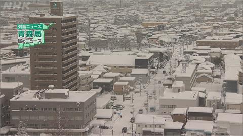 日本大雪成災！雪壓斷樹砸中JR仙山線害停駛
