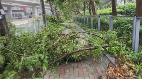 「蘇拉」肆虐香港後登陸廣東　網路瘋傳誇張風災影片