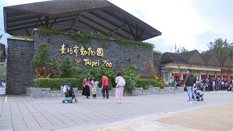 凍漲27年！台北市立動物園門票　4/1起非市民調漲至100元