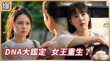 一根頭髮大解密！房仲女王驚傳換跑道？《豆腐媽媽-EP113精彩片段》