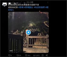 半夜脫光光溜鳥！南港公園變天體營集散地　深夜驚見「全裸遊走」