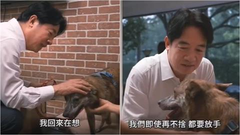 賴清德昔認養斑斑畫面流出！滿臉愧疚突「問這1事」逼哭全網：總統好有愛