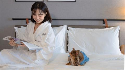 帶著毛孩一起睡！福容墾丁、嘉義voco搶攻寵物商機…「萌寵網美牆」超吸睛