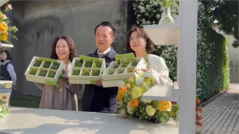 10年磨一劍　嘉義中埔鄉果農成功生產「哈斯酪梨」...不靠進口了！
