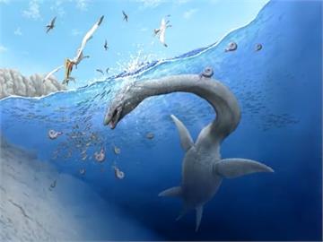 日本上班族發現一億年前翼龍化石　取名薩摩翼龍