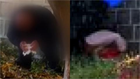 中國男女疑「對馬桶過敏」！竟在韓景福宮「脫褲解放」赫見大媽褲上一包