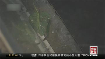 中國天氣異常 農作物、建築物受損嚴重