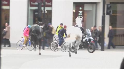 英國軍隊5匹馬訓練途中失控　倫敦街頭狂奔釀5傷