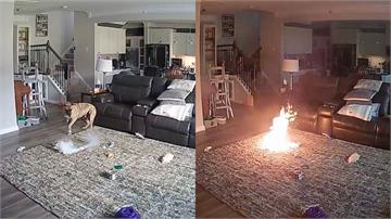 「碰一聲」爆炸起火！狗狗誤咬行動電源　消防員屋內驚魂全錄下