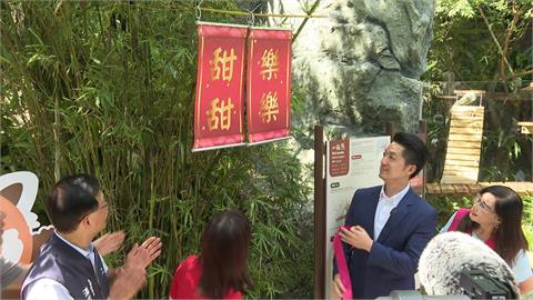 小貓熊亮相！上海團來台遭擋？　陸委會：北市府沒申請