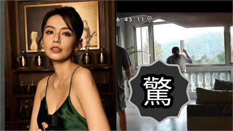 袁艾菲家驚見猴子「徒手開窗」硬闖!超熟練畫面曝光…網笑:根本當自己家