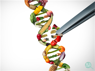 基因編輯食物即將端上桌？英國通過精準育種法案　將基因編輯商業用途合法化