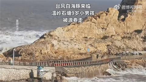 白海豚將登陸中國浙江、福建沿海　浙江四口之家觀浪９歲男童遭捲走