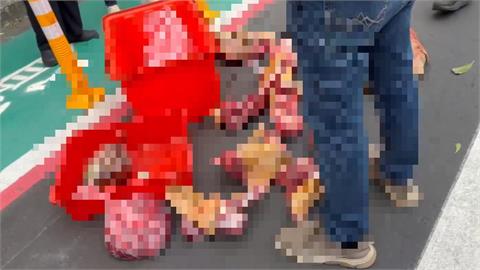 2越南失聯移工疑賣狗肉　竹縣動保所查扣43公斤不明肉品
