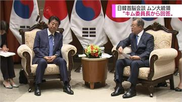 文在寅替金正恩傳話 安倍：適當時機日朝會談