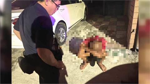 喝醉鬧事！男子持石塊狂砸電信玻璃窗　還囂張嗆居民：去報警啊