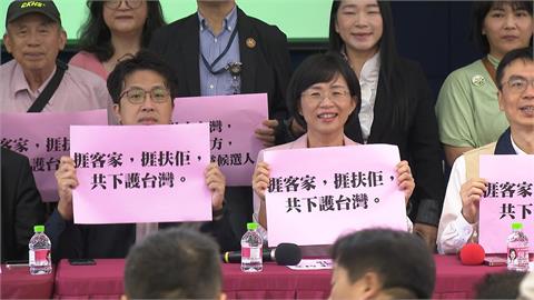 綠營採「雙母雞」拚突圍？　沈伯洋：領頭羊跟伯洋都很重要