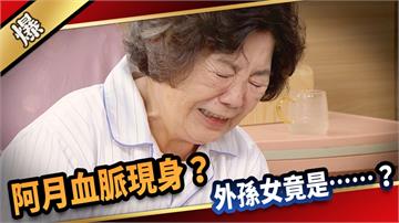 《愛的榮耀-EP219精采片段》阿月血脈現身？ 外孫女竟是……？