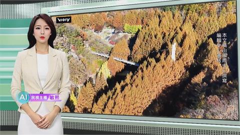 敏熙報氣象/南韓大田長泰山楓紅美景 成熱門打卡聖地