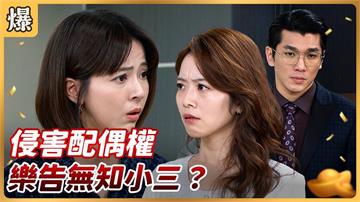 《好運來-EP226精彩片段》侵害配偶權 樂告無知小三?