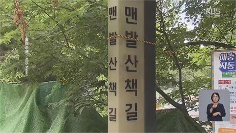 南韓獸害頻傳！ 濟州島鯊魚出沒 大邱野豬現蹤步道