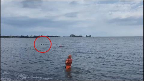 離奇！　76歲男海泳遭3犬攻擊狂咬身體溺斃
