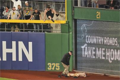 MLB(影)／海盜球迷從外野看台跌落球場　當時意外驚險畫面曝光