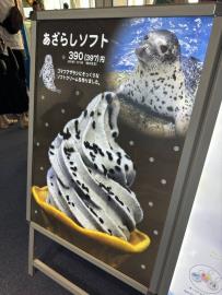 日本水族館開賣海豹冰淇淋引熱潮　網友瘋大讚「這食材」搭配：神還原！