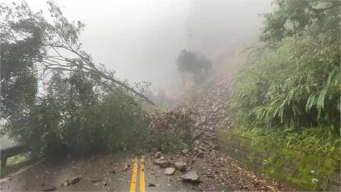 歷經邊坡坍塌！太平山雨過天晴　黃喉貂現身趴趴走