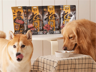 65％飼主把寵物當家人！寵物食品朝人性化、精緻化發展