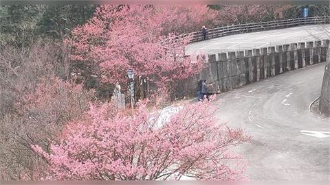 快新聞／2026馬年注意！4生肖犯太歲要躲春　3生肖有貴人相助