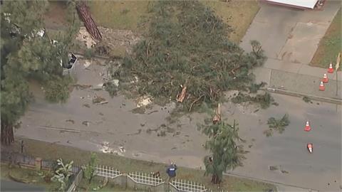 美加州暴雨引發土石流　聖地牙哥高山地區罕見降雪