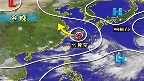 雨彈炸多地「1縣市停班停課」！竹節草「重生」路徑曝光　林嘉愷揭對台影響