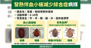 北部男染「SFTS蜱蟲病」全身無力、發燒想吐　疾管署：致死率最高達3成
