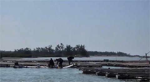 嘉義布袋出現海上Uber！漁民載客蚵棚海釣　促進當地經濟