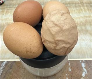 雞蛋蛋殼凹凸如火山岩？　蛋商：老母雞產蛋時擠壓變形