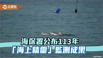 白海豚的秘密生活曝光！海保署揭開台灣海域「海上精靈」的神秘面紗