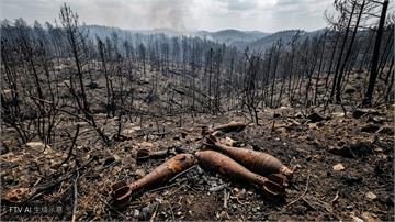 法國野火燒出二戰危機　波爾多村莊驚現400枚未爆彈